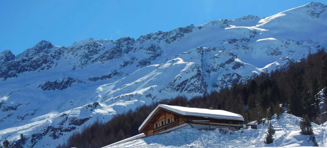 Melager Alm mit Weisskugelblick