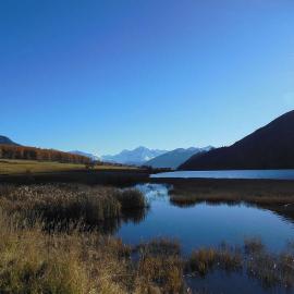 Herbst