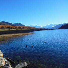Herbst