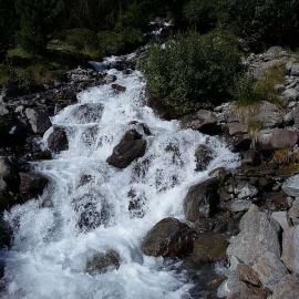 Sommer 
