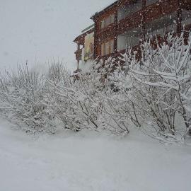 Winter 