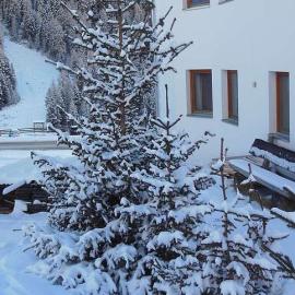 Winter 